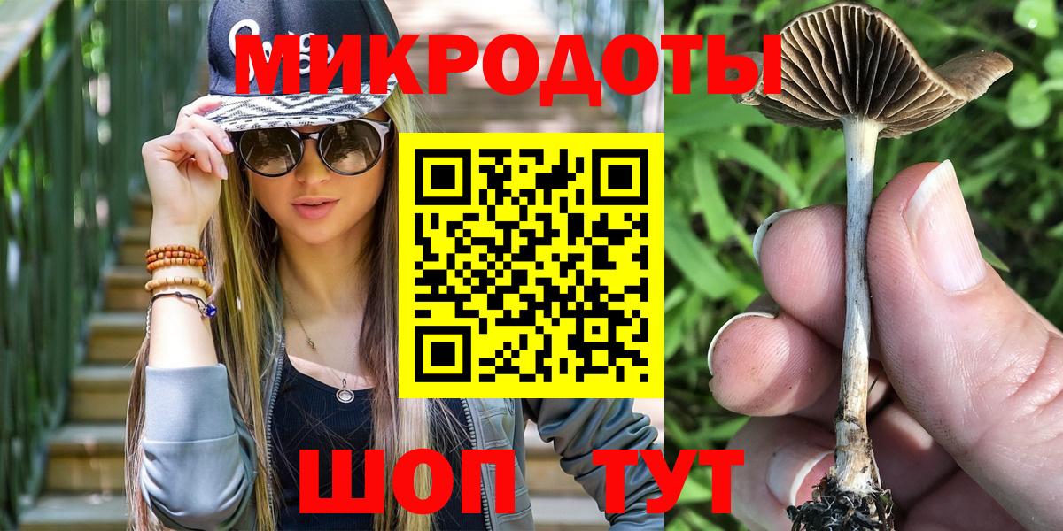 Псилоцибиновые грибы мицелий Карталы