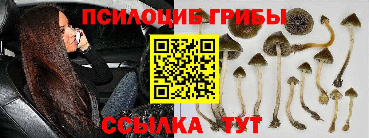 Галлюциногенные грибы Cubensis  Вход с VPN  Карталы 